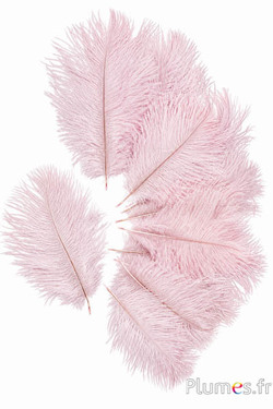 Struisvogel Bellies - 8-13 cm - zachtroze-lichtgrijs